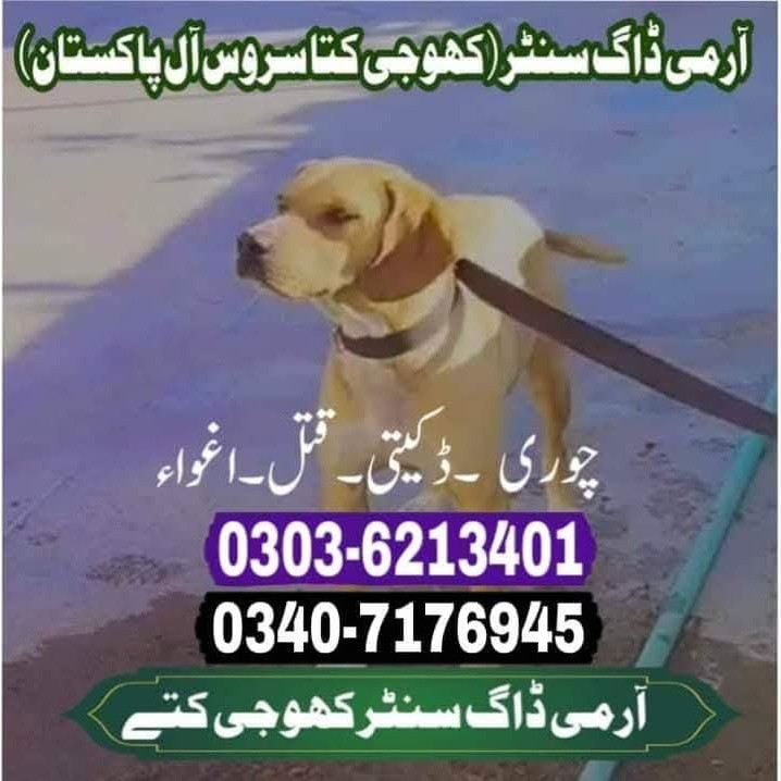 Army Dog Center