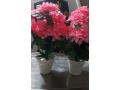 fake-flowers-with-pot-price-kam-small-0