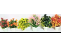artificial-flowers-mini-plastic-pots-pack-of-2-small-0