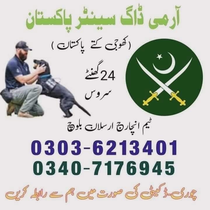 Khoji Dog Center Chakwal Contact 03036213401