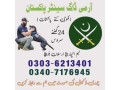 army-dogs-center-lahore-cantt-03036213401-khojikutte-small-0