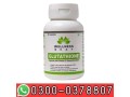 wellness-beat-beauty-vitamins-capsules-in-burewala-0300-0378807-cash-on-delivery-small-0