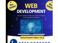 website-design-web-design-web-designer-web-development-web-developer-small-0