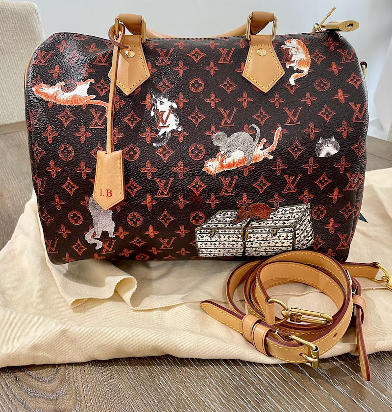 Louis Vuitton handbag Speedy Bandouliére 30 Catogram X Grace Coddington