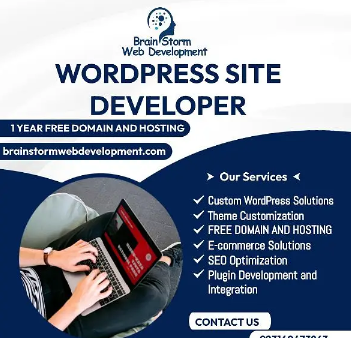 Website development & Design plus Free Seo