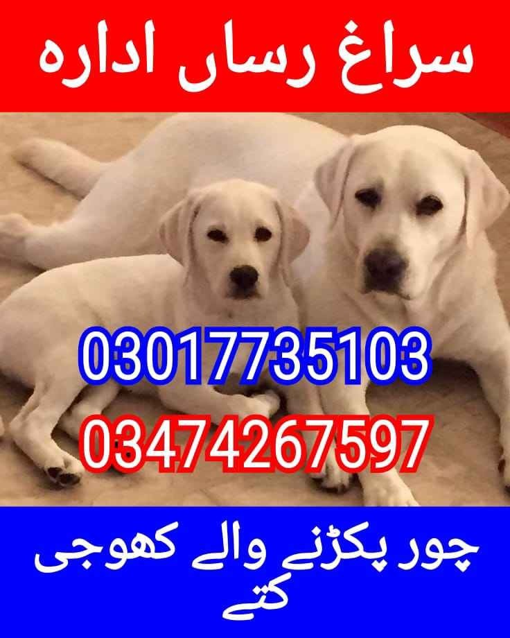 Army dog center pk 03017735103