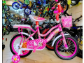 pink-girl-cycle-16-size-small-0