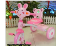 1-pc-kids-tricycle-with-light-and-music-small-0