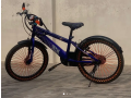 phoenix-imported-bicycle-for-10-to-12-years-old-kid-small-0