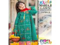 girl-2pcs-embroidered-shirt-ad-trouser-suit-free-home-delivery-small-0