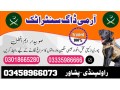 army-dog-center-attock-03458966073-swo-dog-center-attock-small-0