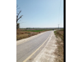 72-kanal-agriculture-land-for-sale-in-balkasar-chakwal-small-0