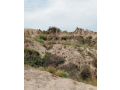 90-kanal-agriculture-land-for-sale-in-balkasar-chakwal-small-1