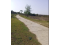 70-kanal-agriculture-land-for-sale-in-mangwal-small-0
