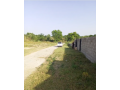 70-kanal-agriculture-land-for-sale-in-mangwal-small-2