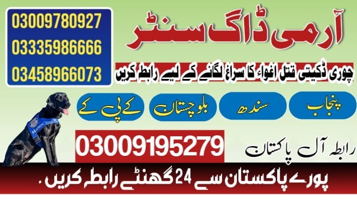 Army Dog Center Mianwali 03018665280 (KHOJIDOGS)