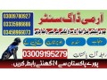 army-dog-center-mianwali-03018665280-khojidogs-small-0