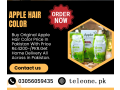 apple-hair-color-72-black-in-multan-buy-now-03056059435-small-0