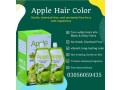 apple-hair-color-72-black-in-wah-cantonment-buy-now-03056059435-small-0