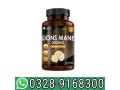 lions-mane-mushroom-extract-supplement-in-karachi-03289168300-small-0