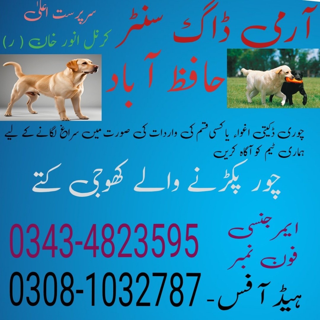 Army dog center Pakistan-03434823595