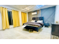 vip-furnished-apartment-daily-basis-for-rent-small-0