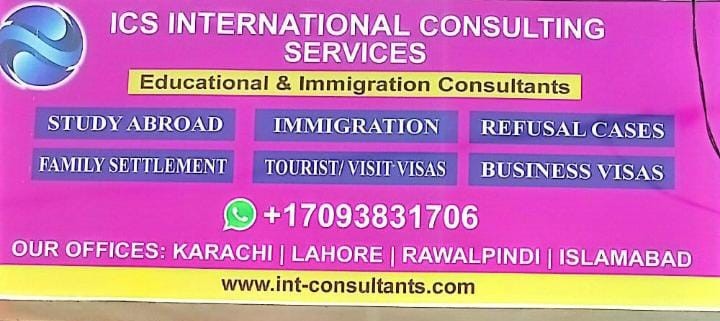International Consultant Services for Visa Purposes