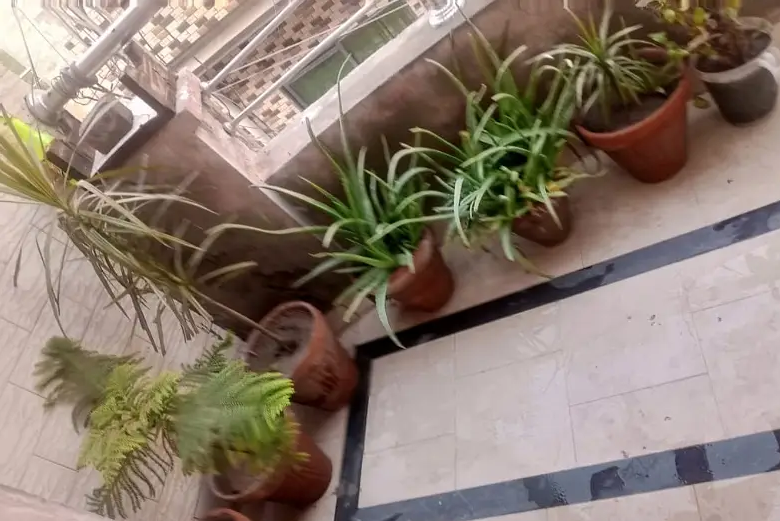 5 Marla Available House In Shokat Town Near About Ghazi Road Lahore,