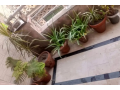 5-marla-available-house-in-shokat-town-near-about-ghazi-road-lahore-small-2