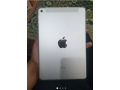 i-pad-mini-4-small-0