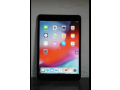 ipad-mini-2-16gb-touch-is-bit-faulty-small-0