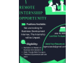 remote-internship-opportunity-l-business-development-officer-small-0