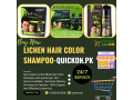 lichen-hair-color-shampoo-price-in-pakistan-923001819306-small-0