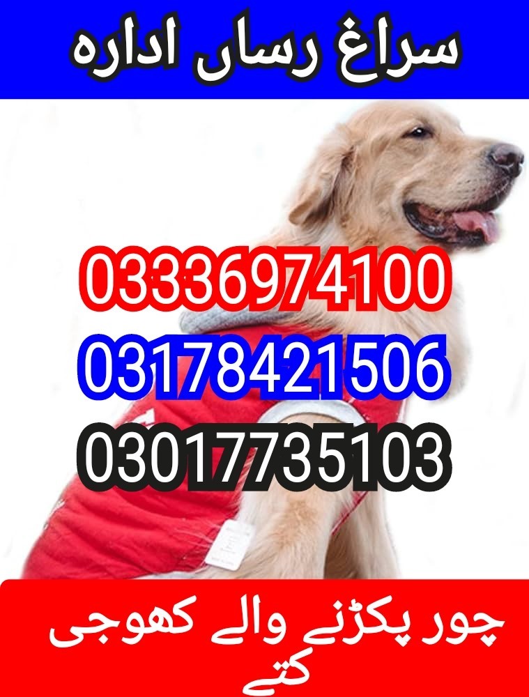 Army dog center okara 03017735103