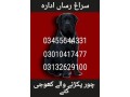 army-dog-center-mardan-03010417477-small-0