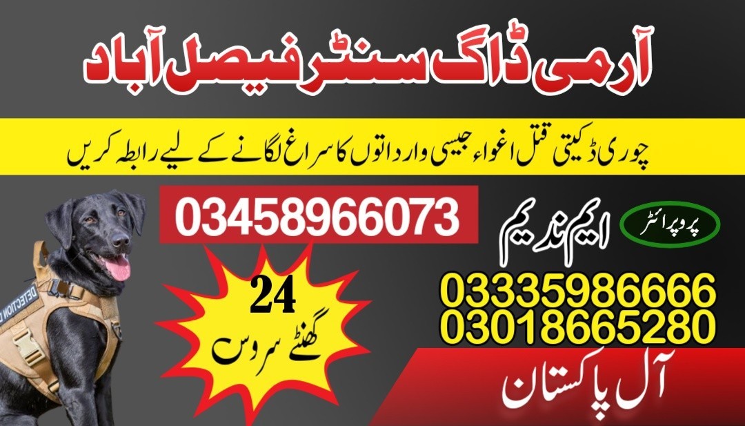 Army Dog Center Faisalabad 03018665280 (Khoji dogs in Faisalabad)