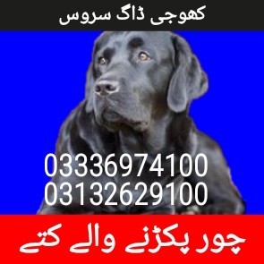 Army dog center murree 03132629100