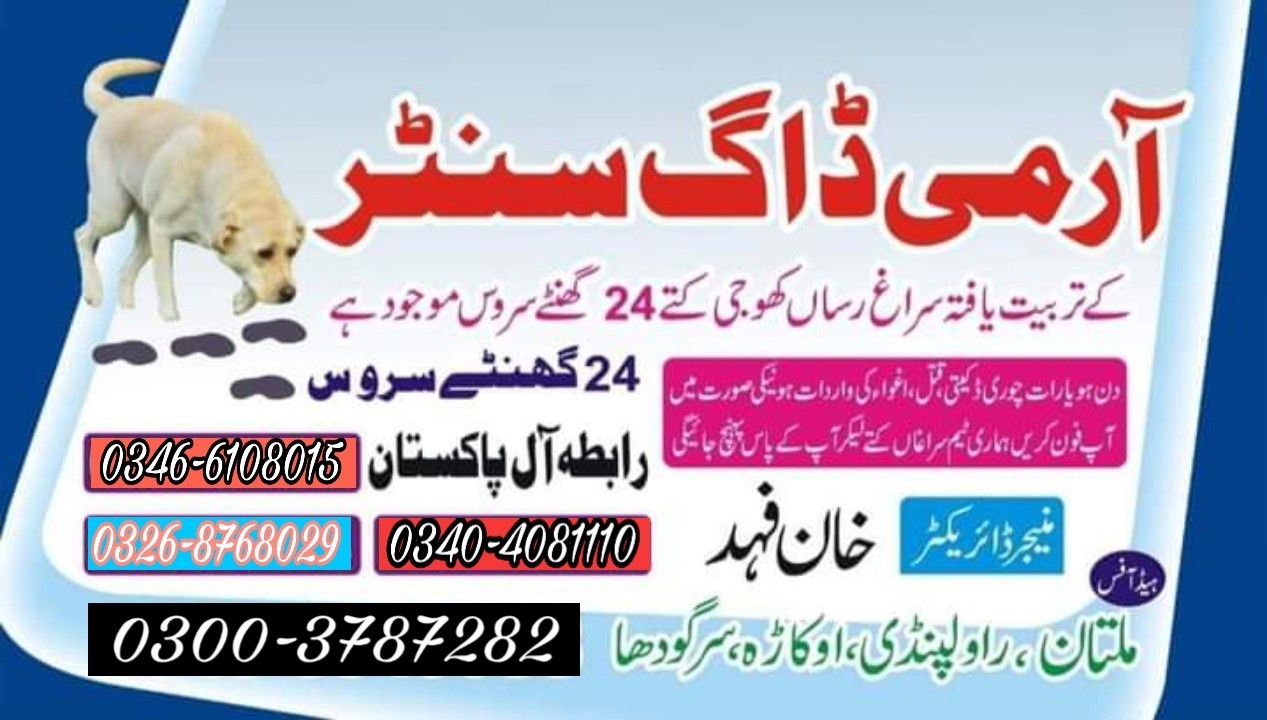 Army dog center Sadiqabad 0340-4081110