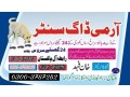 army-dog-center-sadiqabad-0340-4081110-small-0