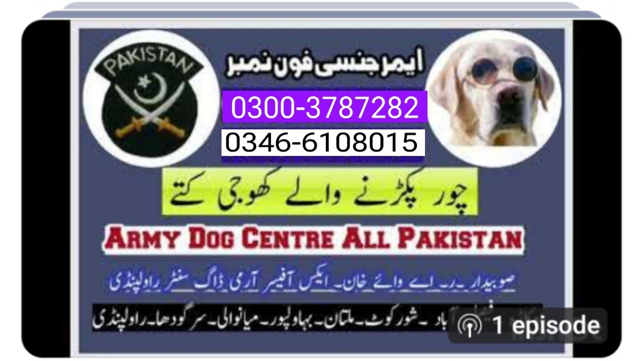 Hyderabad Army dog center 0304-0763736