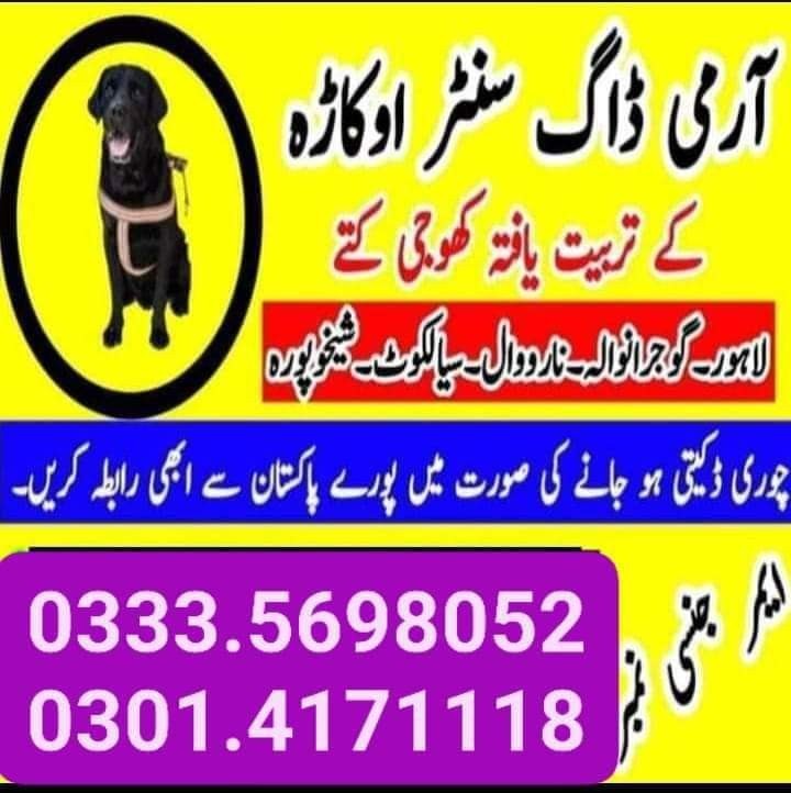 Army DOg Center Murree 03124760111