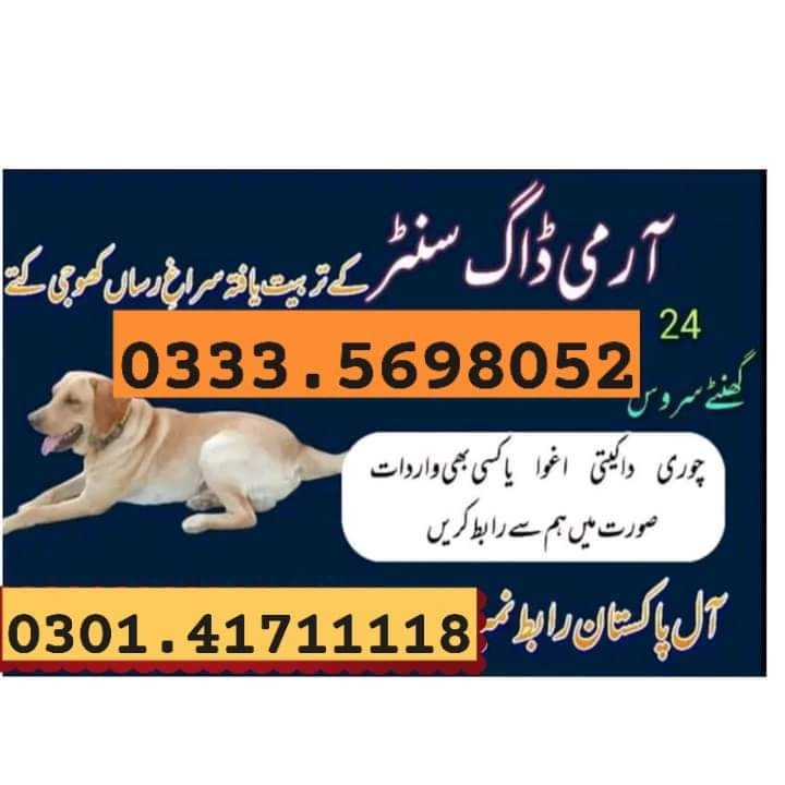 Army dog center okara 03454760111