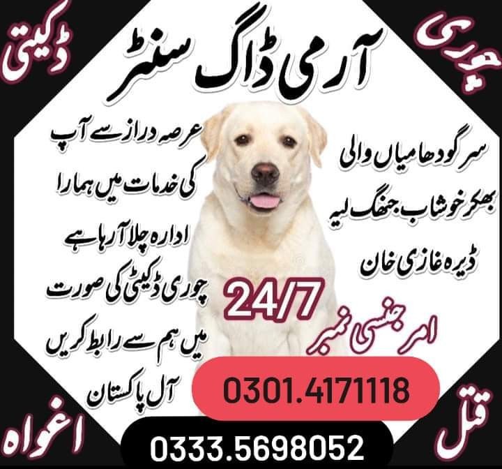 Army Dog Center Rawalpindi 03335698052