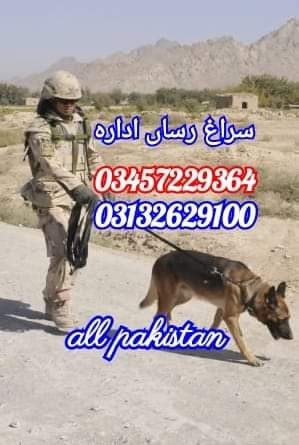 Army dog center rawalpindi 03178421506