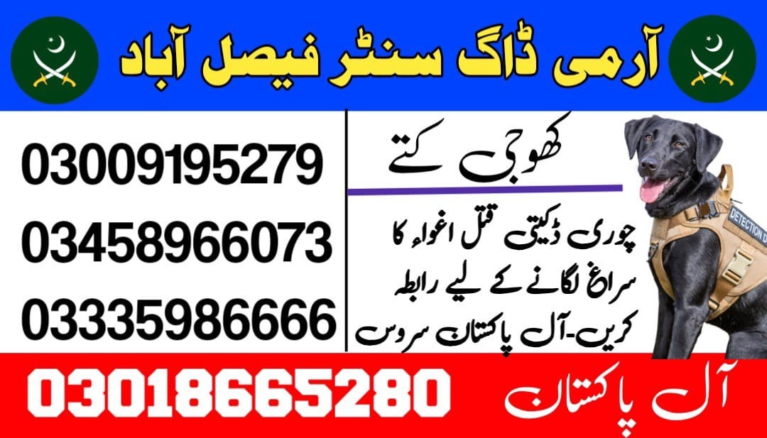 Army Dog Center Faisalabad 03018665280