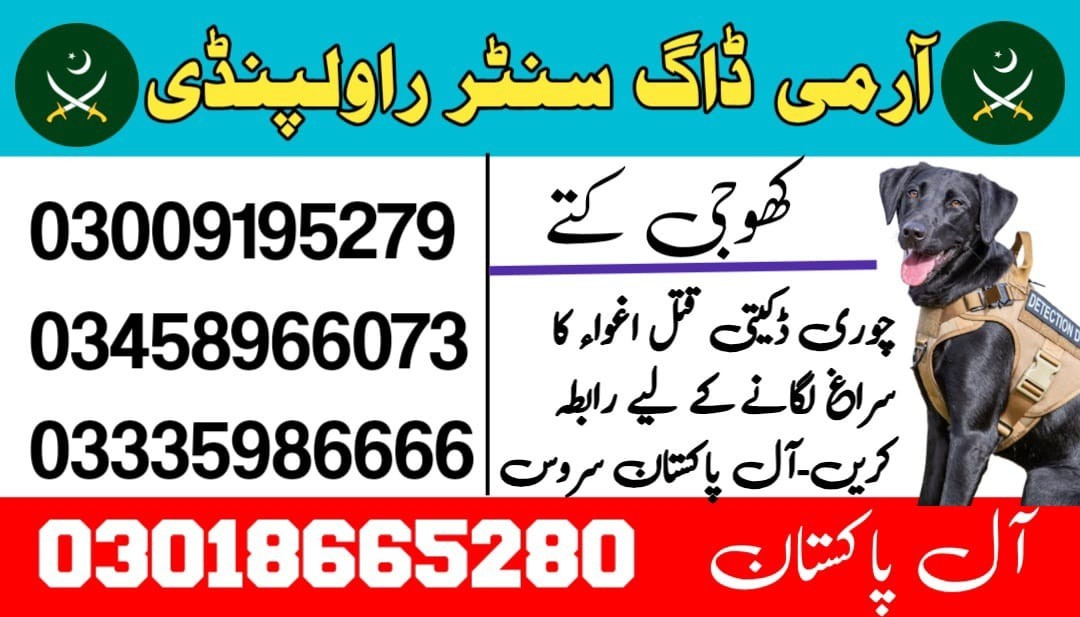 Army dog center Jhelum | 03018665280 | Khoji kuttay