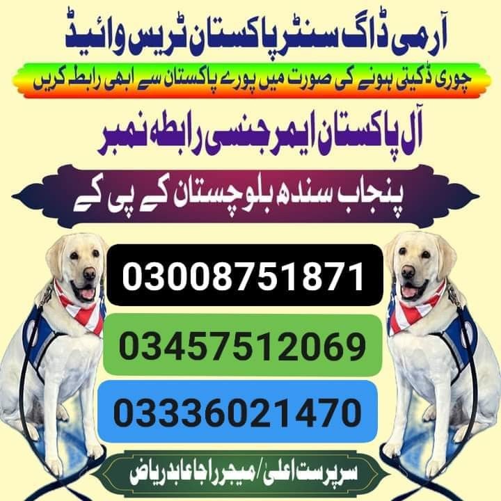 Army dog center chakwal 03008751871