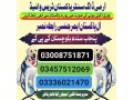 army-dog-center-chakwal-03008751871-small-0