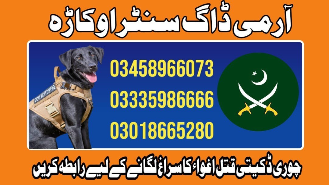 Army Dog Center Okara | 03458966073 | Sniffers Dogs In Okara