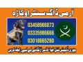 army-dog-center-okara-03458966073-sniffers-dogs-in-okara-small-0